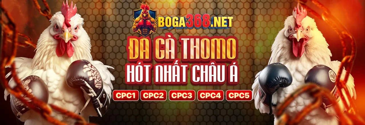 Biểu tượng Twitter